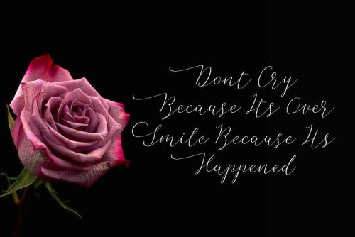 Flashback Script Font 6