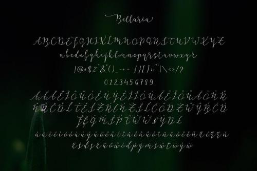 Flashback Script Font 7
