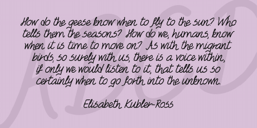 Foxes In Love Font 2