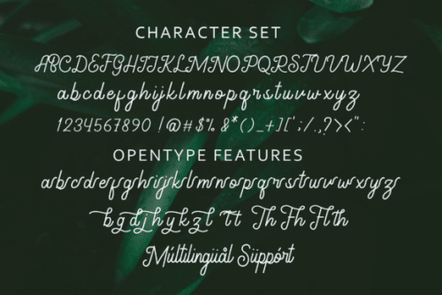 Gathenbury Monoline Script Font 6