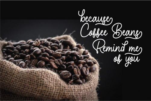 Hearthline Monoscript Font 3