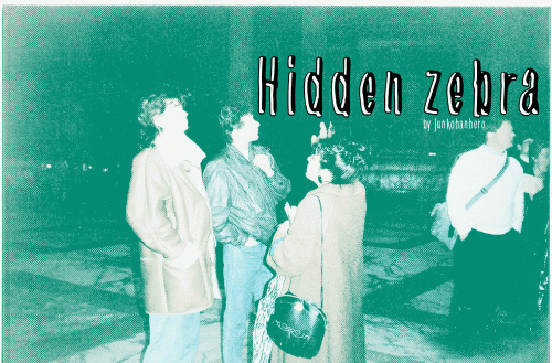 Hidden Zebra Font 5