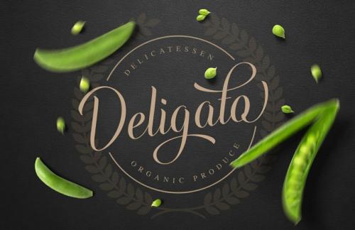 Indulge Script Font 2
