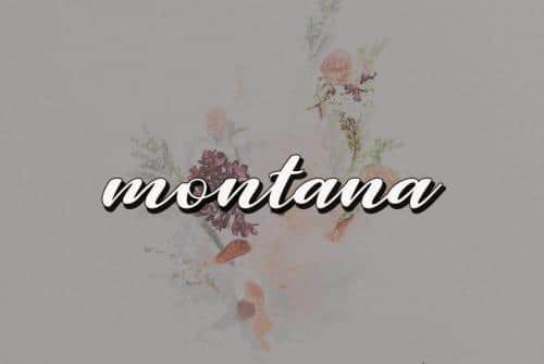 Junita Script Font 2