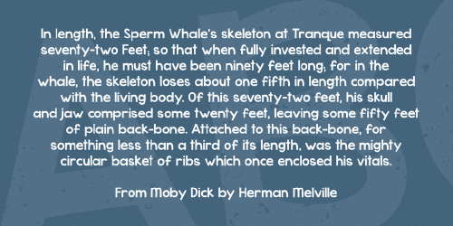 Kg Cold Coffee Font 2