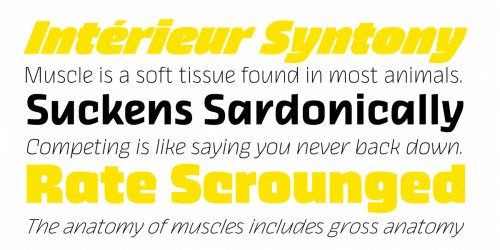 Kicker Trial Font 9