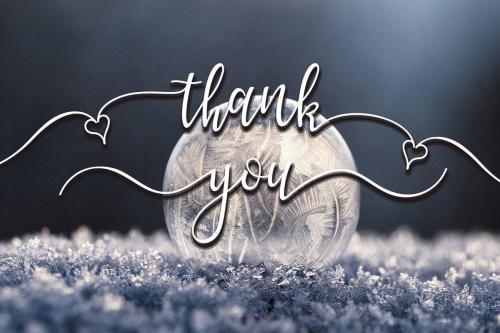 Lanara Script Font 11