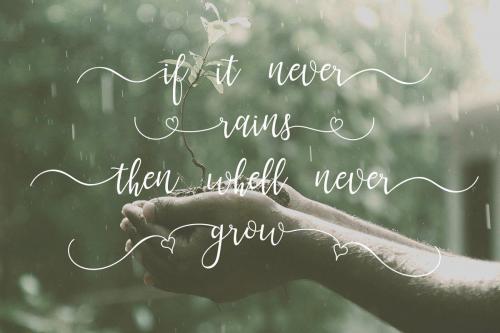 Lanara Script Font 3