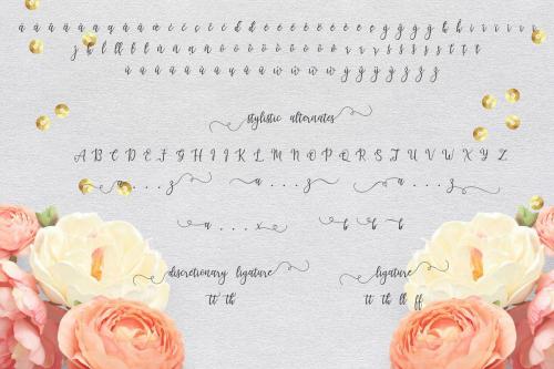 Lanara Script Font 7