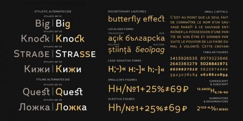 Leto Text Sans Defect Font 7