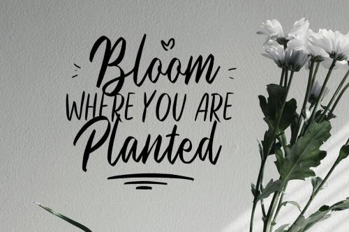 Ls Hymned Font 8 (1)