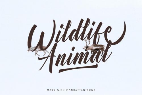 Manhattan Swash Font 6