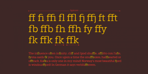 Marek Slab Font Family 9