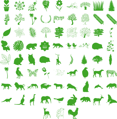 Nature Pro Font 1