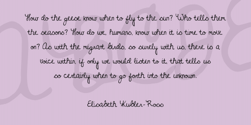 Never Grow Up Font 3