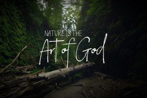 North Island Handwritten Font 6