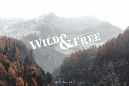 Poker In October Font 2