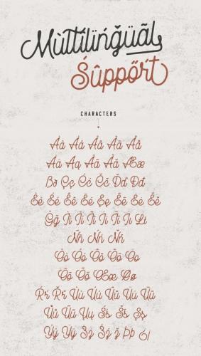 Rampage Monoline Script Font 11