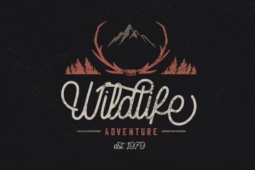Rampage Monoline Script Font 9