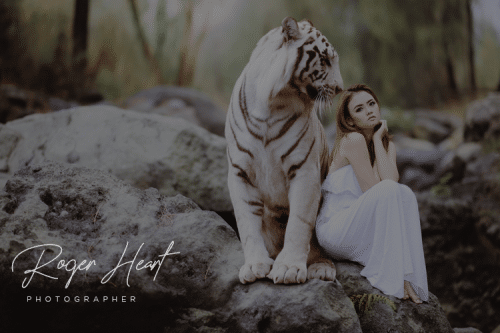 Roger Heart Font