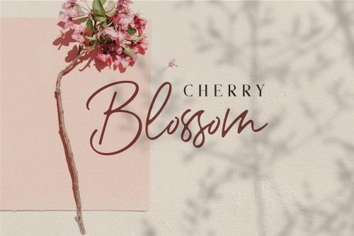 Romantic Couple Script Font 3