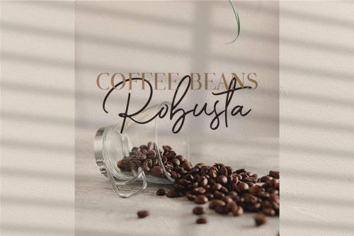 Romantic Couple Script Font 5