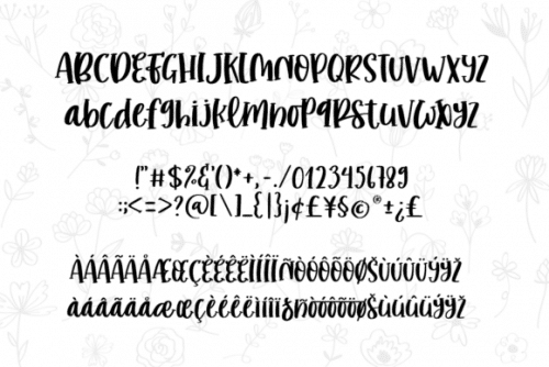 Romantic Stories Font 11