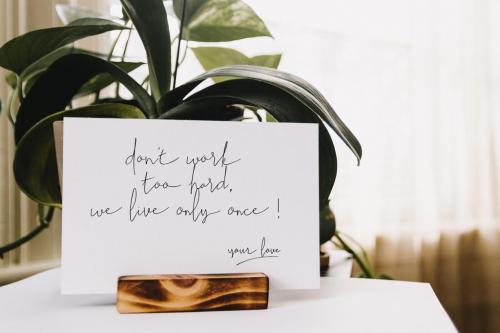 Sallita Script Font 3