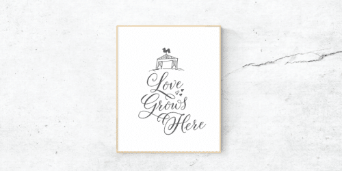 Sassafrassy Pro Font 5