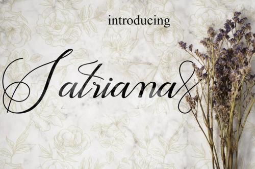 Satarina Font 1