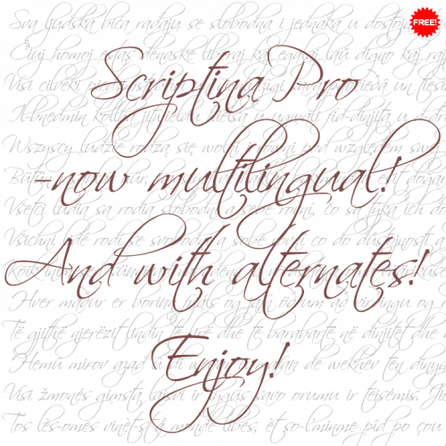 Scriptina Pro Font