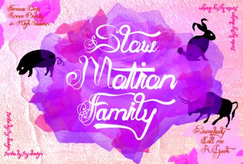 Slow Motion Script Fonts 1