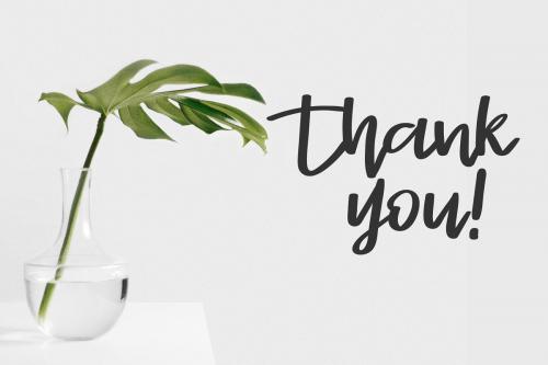 Stayrlight Modern Script Font 10