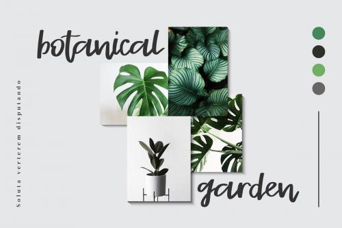 Stayrlight Modern Script Font 4