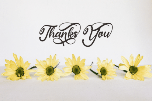 Sunbunny Calligraphy Script Font 11