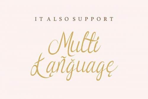 Syllia Calligraphy Font 14