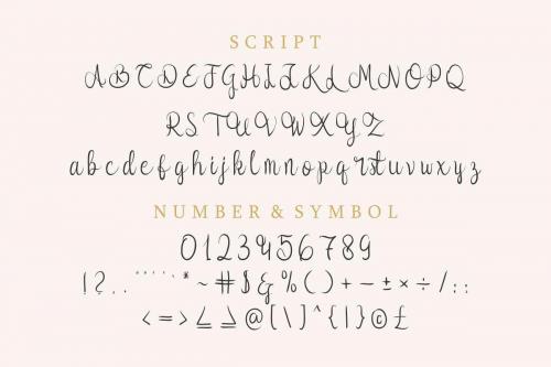 Syllia Calligraphy Font 2