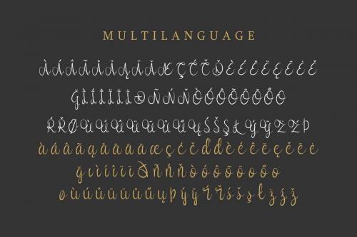 Syllia Calligraphy Font 3