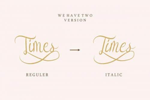 Syllia Calligraphy Font 4