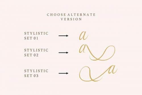 Syllia Calligraphy Font 5