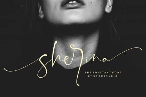 The Brittany Font Trio 10