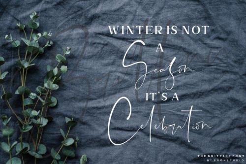 The Brittany Font Trio 15