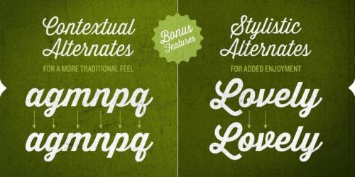 Thirsty Script Extrabold Font 7