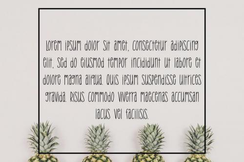 Tropic Truble Font 4