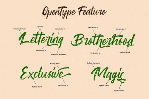 Washington ~ Rough Script Font 10