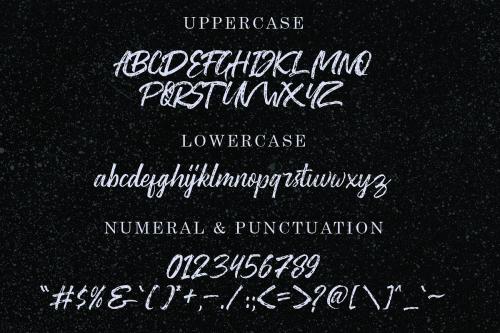 Washington ~ Rough Script Font 9