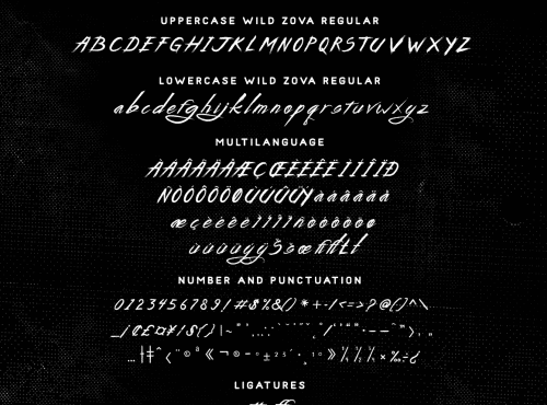 Wild-Zova-Free-Font-1