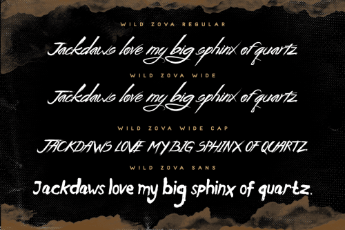 Wild Zova Free Font 5
