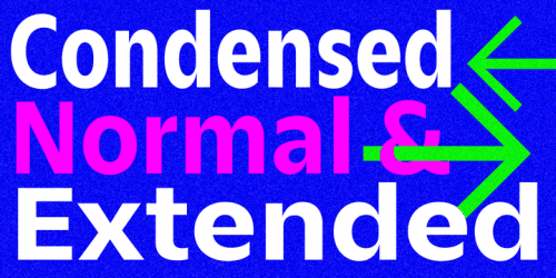 Zin Sans Font Family 1