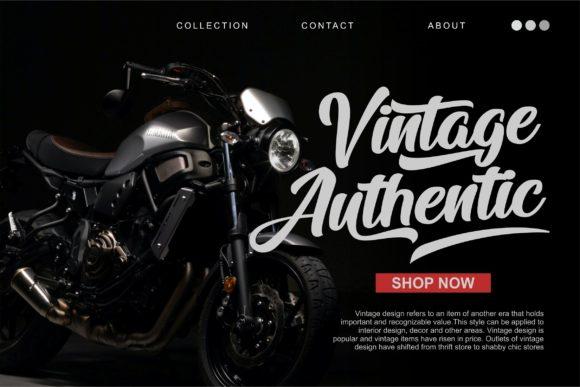 Arfelick Feather Script Font 4